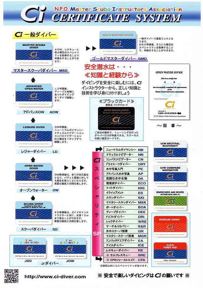 ステップアップダイビング概要